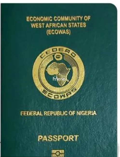 Experts on Processing Of Nigeria International Passport— Contact Us Today