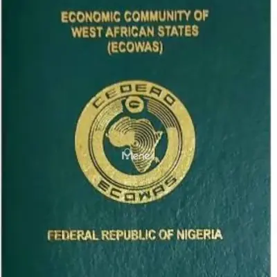 Experts on Processing Of Nigeria International Passport— Contact Us Today